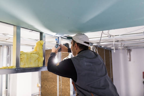 Best Insulation Replacement Services  in Ashland, AL
