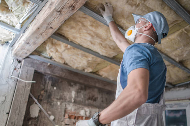 Best Attic Insulation Installation  in Ashland, AL