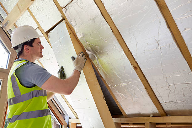 Best Insulation for New Construction  in Ashland, AL